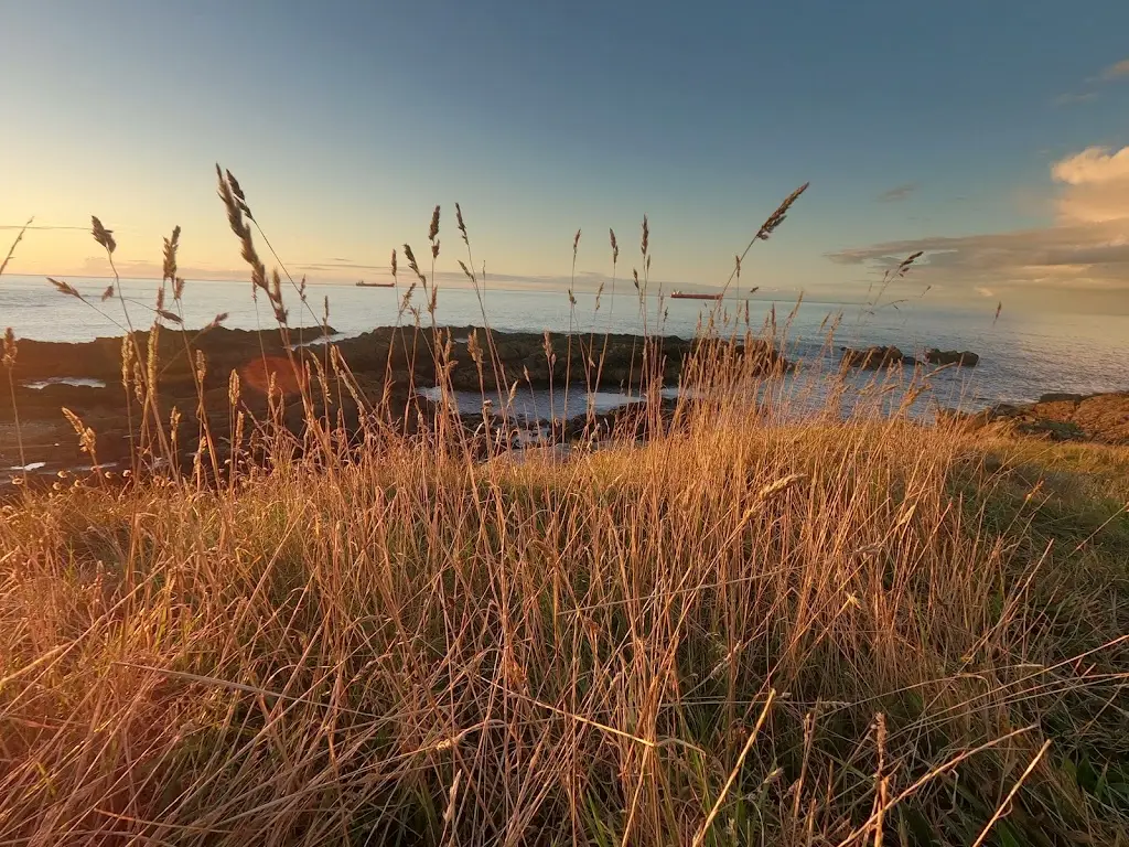 Richard Wearing_Plough Inn_Macduff_review