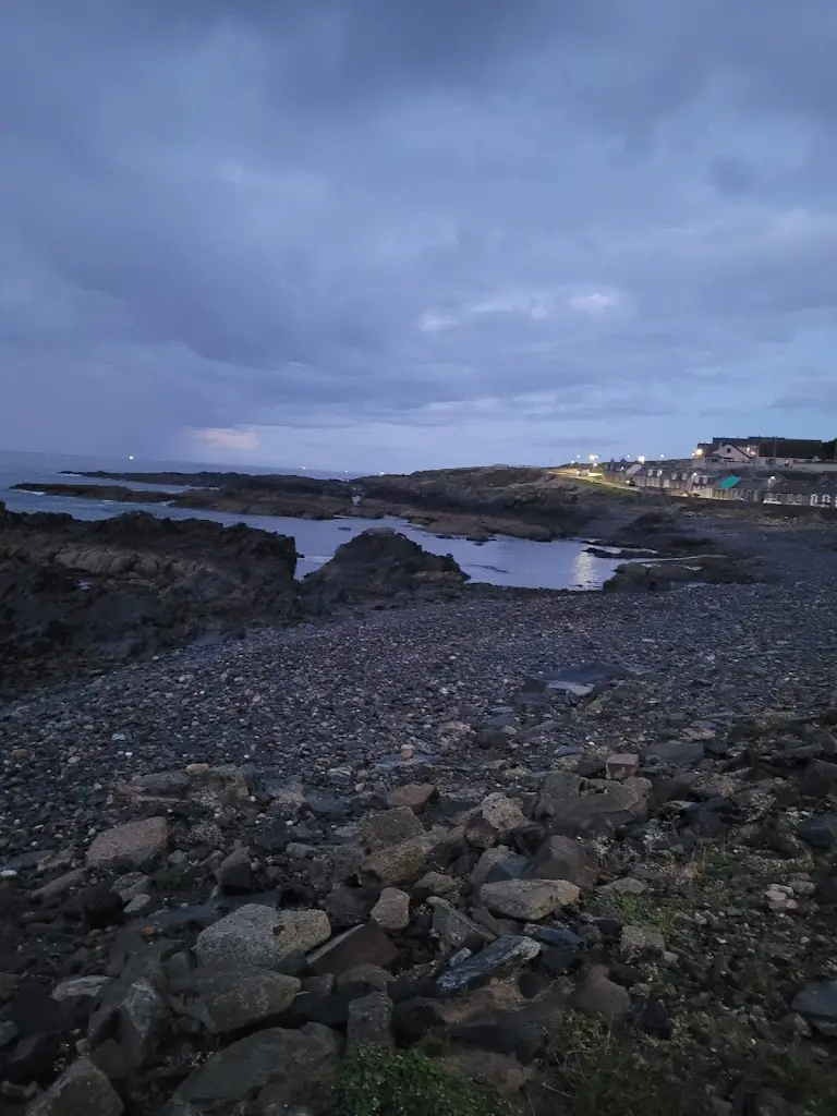 Dolphin Fish & Chips_Macduff_slider_image_3