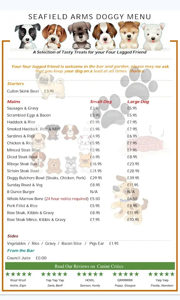 Lynne Leggatt_Seafield Arms_Macduff_recensione