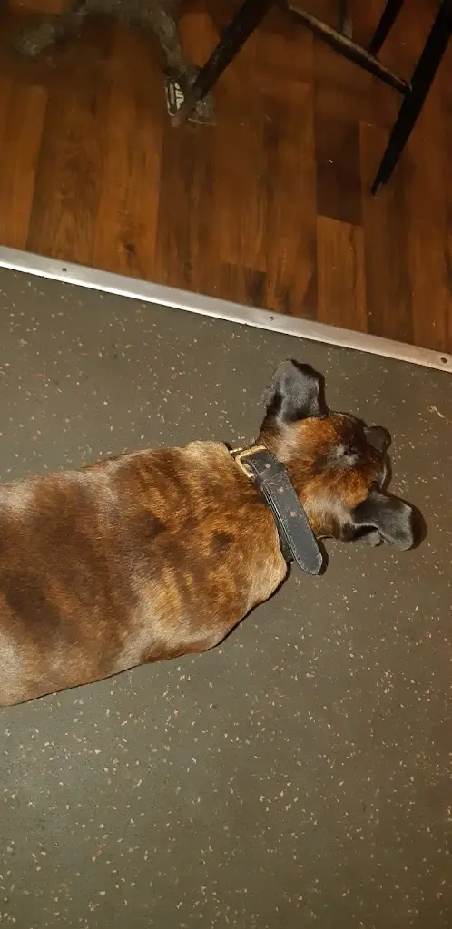 The Corner House_New Stevenston_slider_image_3