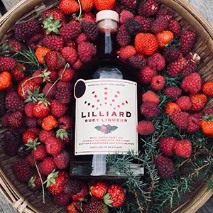 Menu_Dryburgh Arms Pub with Rooms_Newtown St Boswells_image_7