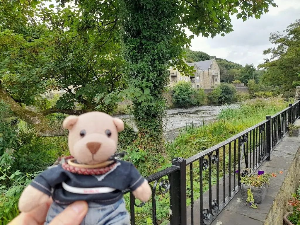 MADDOGLEP_The Old White Horse Brasserie_Bingley_review