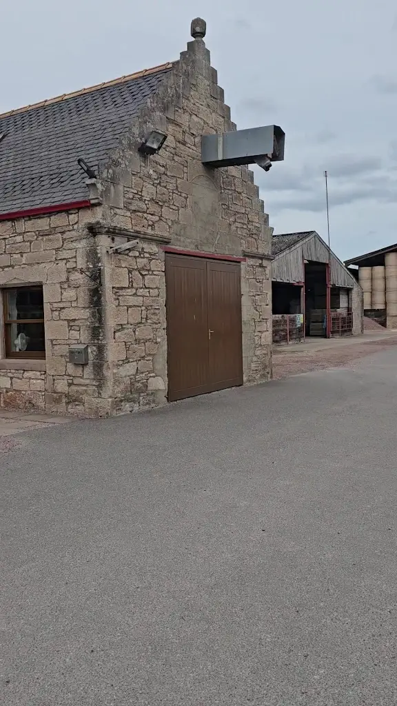 Mike Mullen_Househill Cafe_Nairn_review