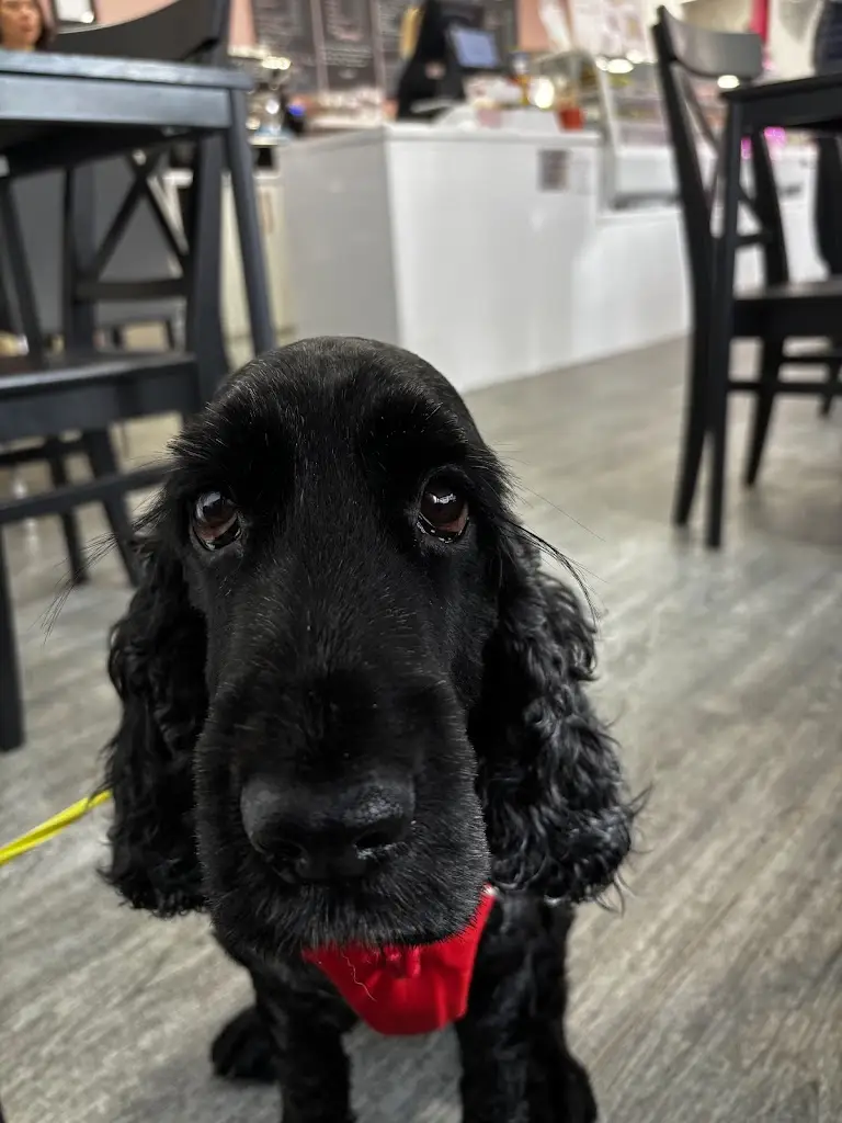 Alan Pearson_MNM's Cafe Nairn_Nairn_review