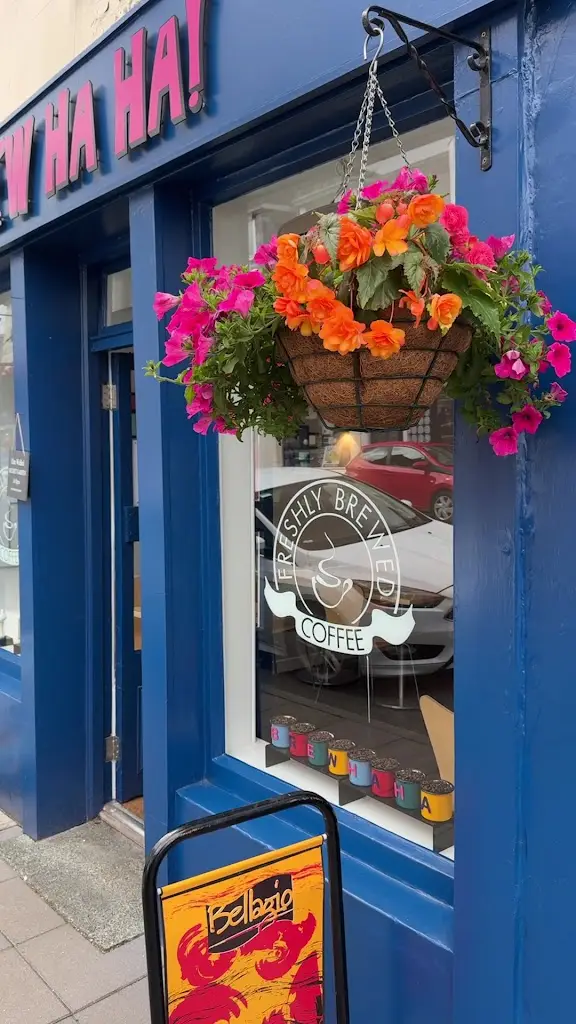 john gibbs_Brew Ha Ha_Newton Stewart_review