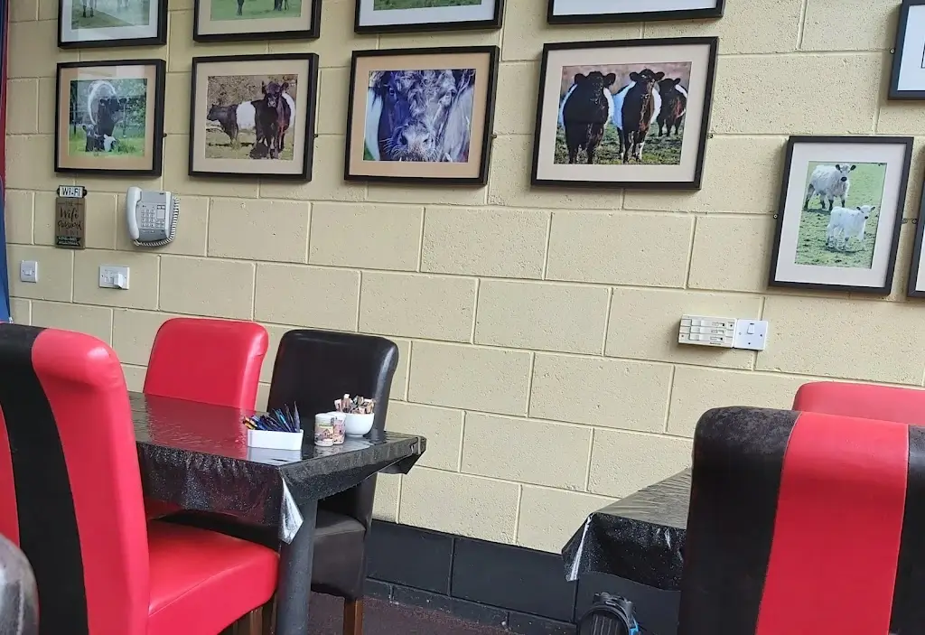 Jenny Leonard_The Belted Galloway Visitor Centre_Newton Stewart_review