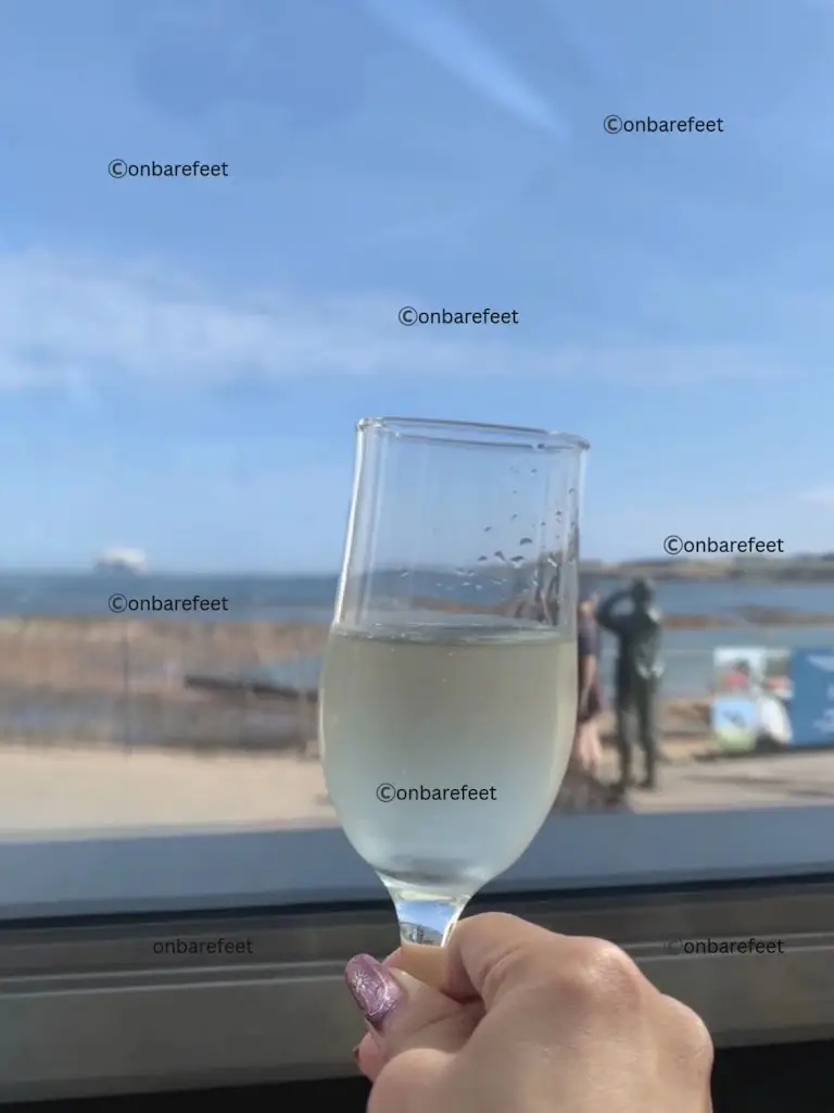 Onbarefeet_The Rocketeer Restaurant_North Berwick_review