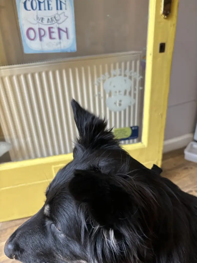 carrie richmond_Buttercup Cafe North Berwick_North Berwick_review