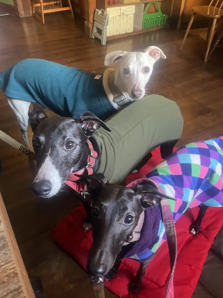 Alyson Cockburn_West End Bar_Pittenweem_review