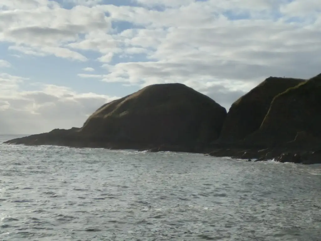 Pharaoh_The Ship Inn, Stonehaven_Newtonhill_review