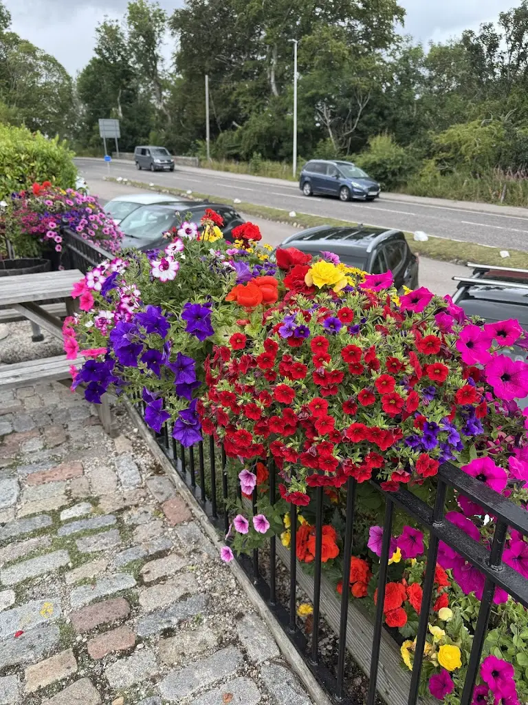 Moe Hosseinpour_Borsalino_Newtonhill_recensione