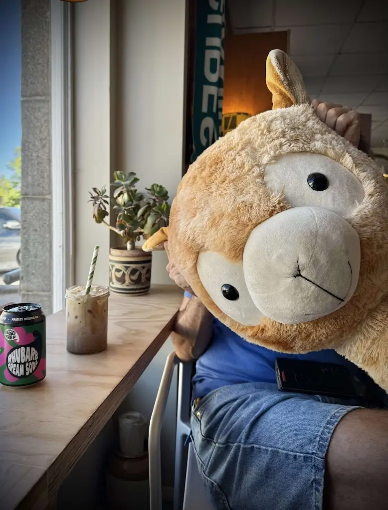 Storage123 Reg_Skateraw Store_Newtonhill_review