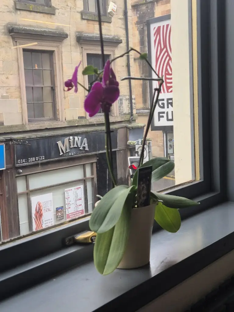 Kerri Marno_Grand Fusion_Paisley_review