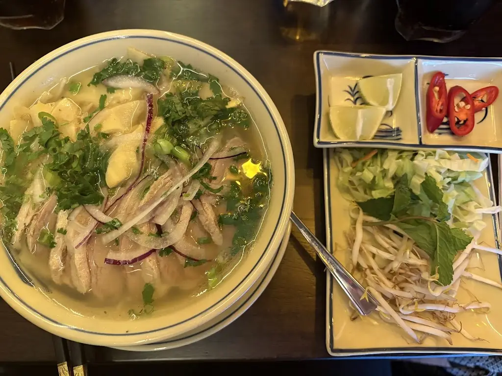 Rebecca Stephens_Nom Nom Asia_Paisley_recensione