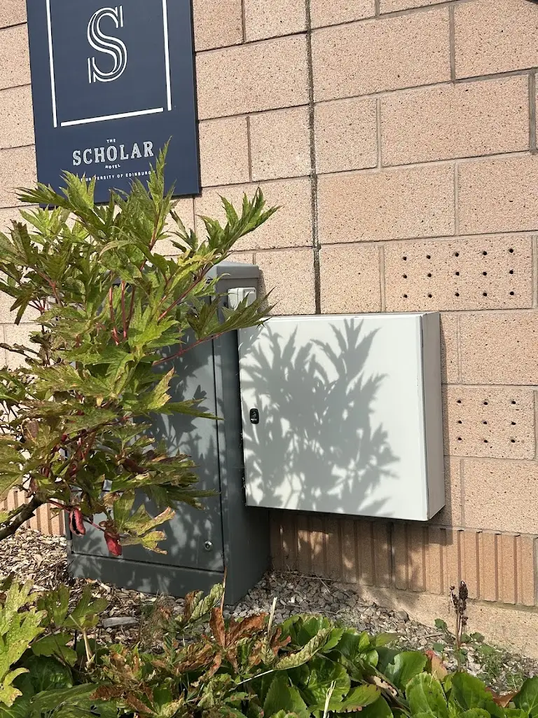 Leonora Obed_The Scholar_Ratho_review