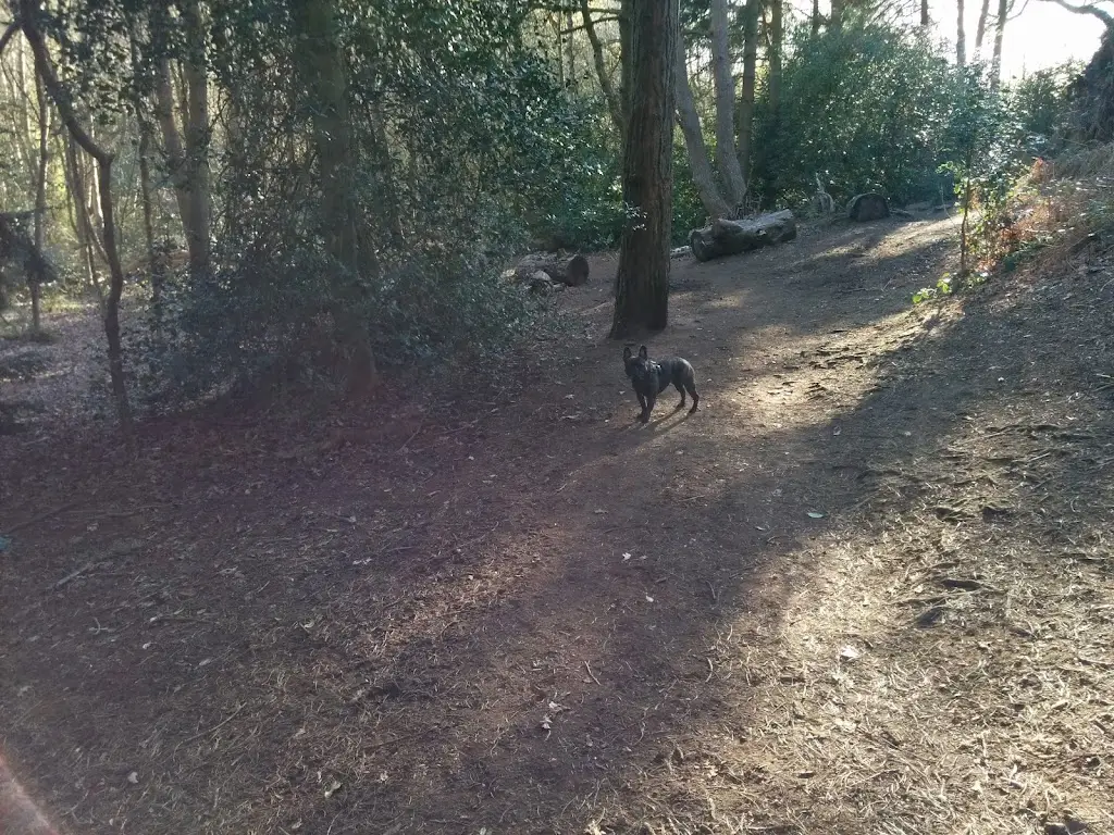 The Dining Room & Cellar Restaurant_Birkenhead_slider_image_3