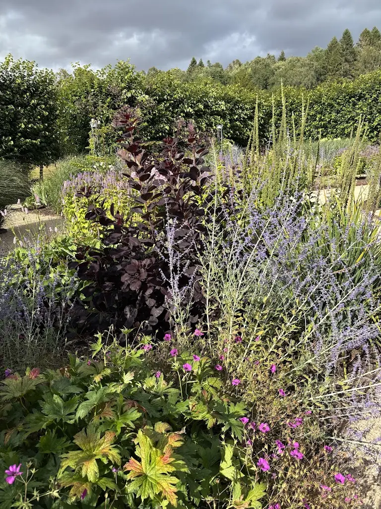 Noura_Scone Palace_Scone_review