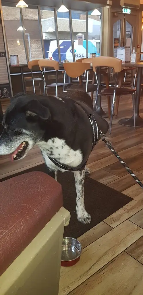 Dylan Walker_Cafe Melbourne_Saltcoats_review