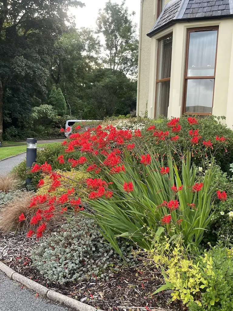 Chongcharoen Sornkaew_The View Restaurant_Portree_review