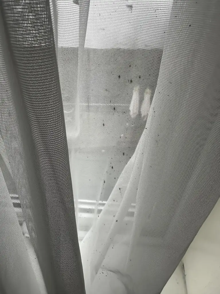 Lisa Herrmann_The Rosedale Hotel and Restaurant_Portree_review