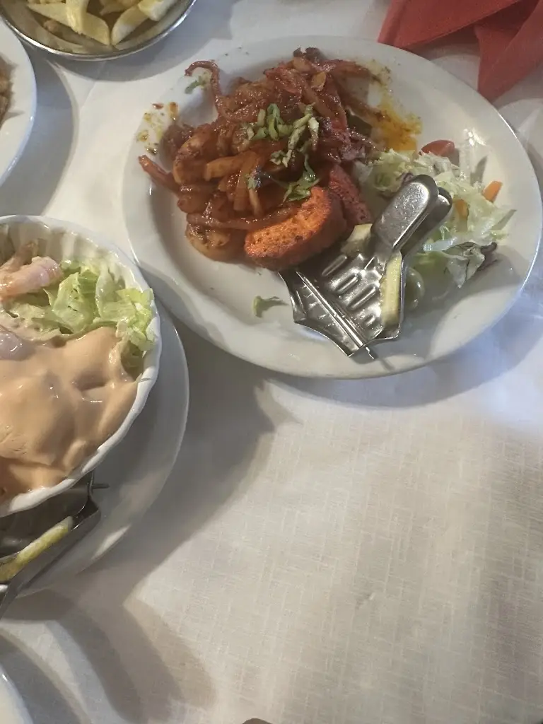 Badhon Kashem_Prince Of India_Portree_review