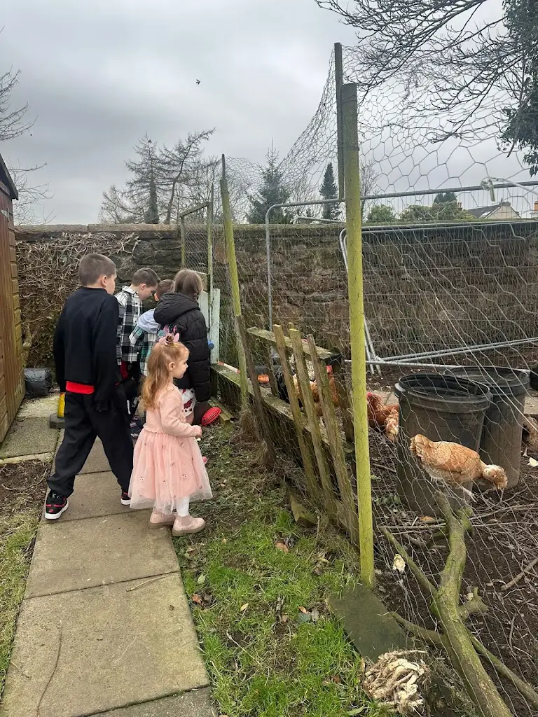 Margaret Gillies_The Golden Pheasant_Stepps_review