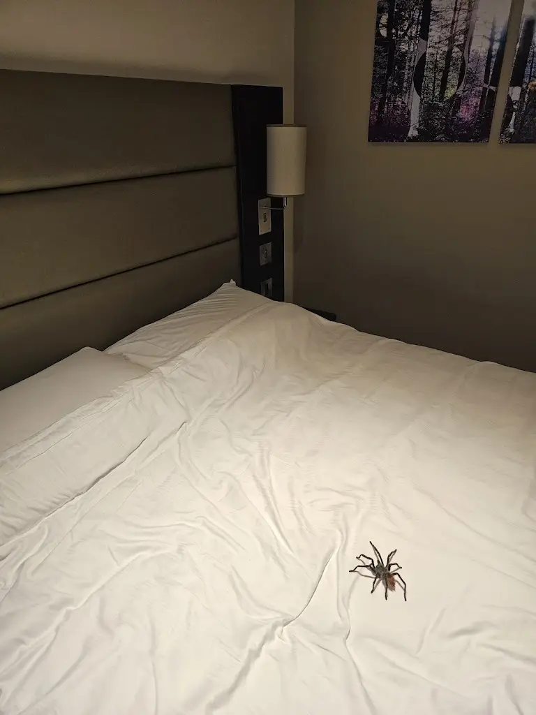 Tolkien Tsouvaallah_Premier Inn Glasgow Stepps (M80, J3) hotel_Stepps_recensione