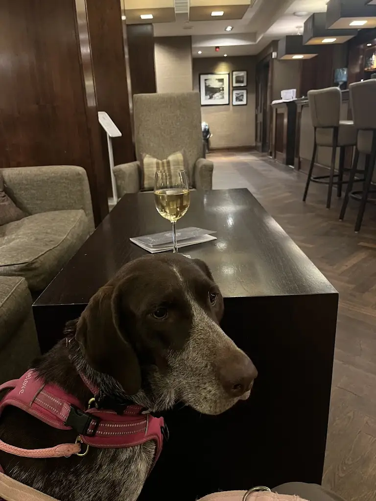 Oran W_Best Western Garfield House Hotel_Stepps_review