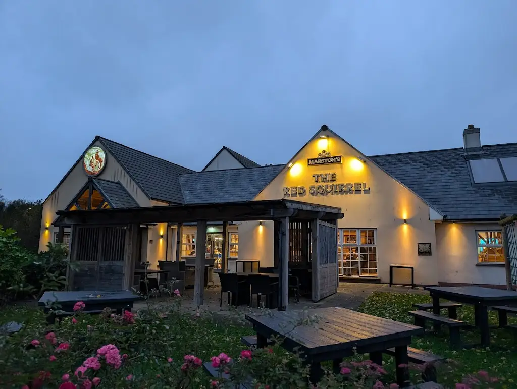 Red Squirrel_Stevenston_slider_image_3