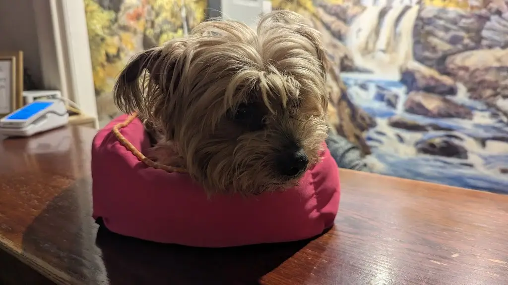 The Wanderers_Coul House Hotel_Strathpeffer_review