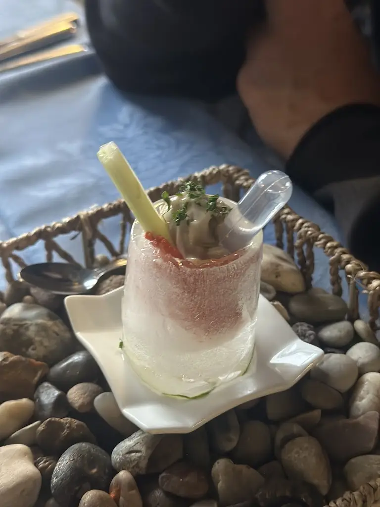 Lesley Kiggins_The Oystercatcher_Tain_review