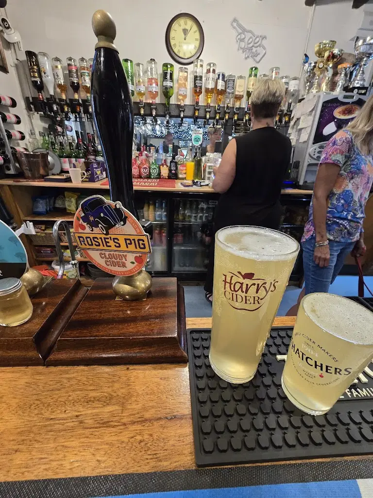 Menu_Bird In Hand_Bishops Lydeard_immagine_4