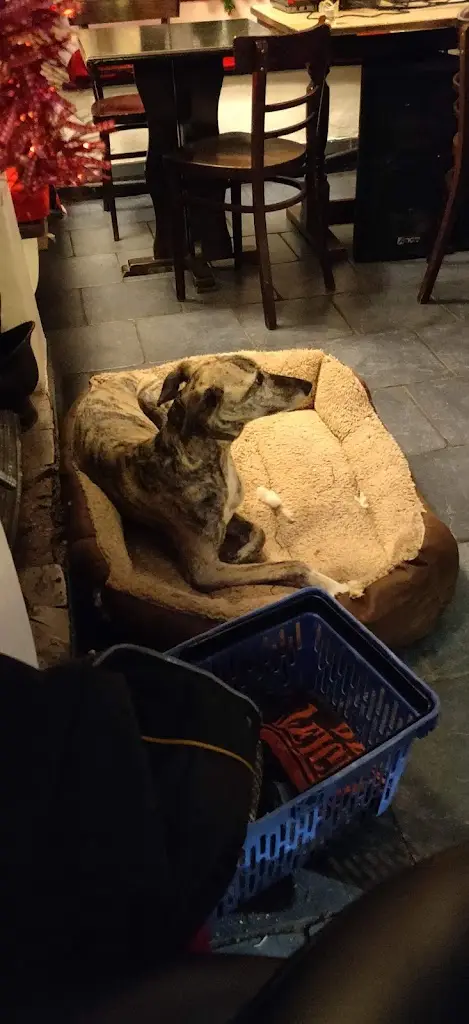 Menu_Bird In Hand_Bishops Lydeard_immagine_5