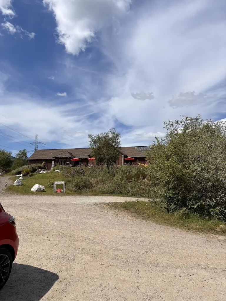 Glenn Ohara_The Gather Cafe_Tarbert_review