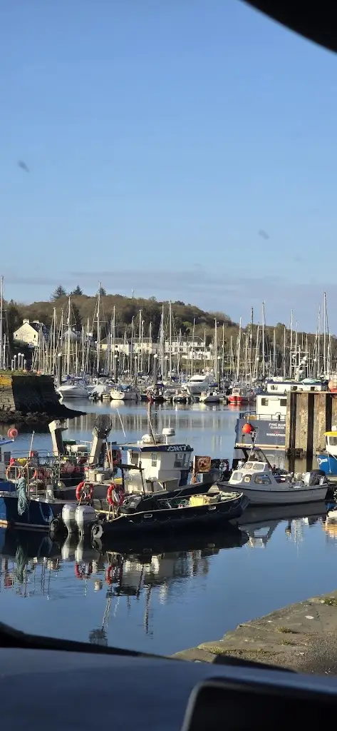 James Thorne_The waterfront_Tarbert_recensione