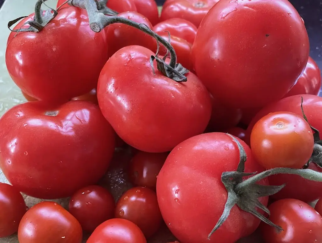 Menu_The Water Trough Cafe & Bar_Waterfoot_image_9