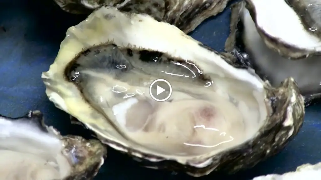 The Galley_Thurso_slider_image_2