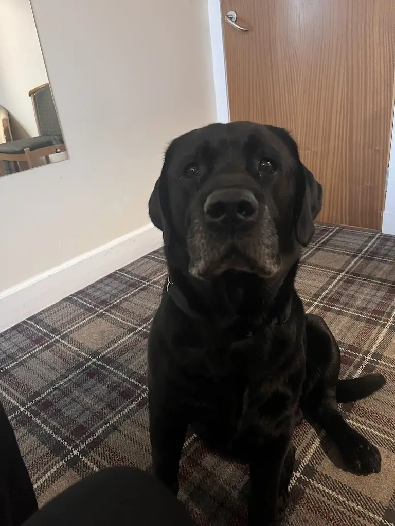 Alyson Allen_Pentland Hotel_Thurso_review