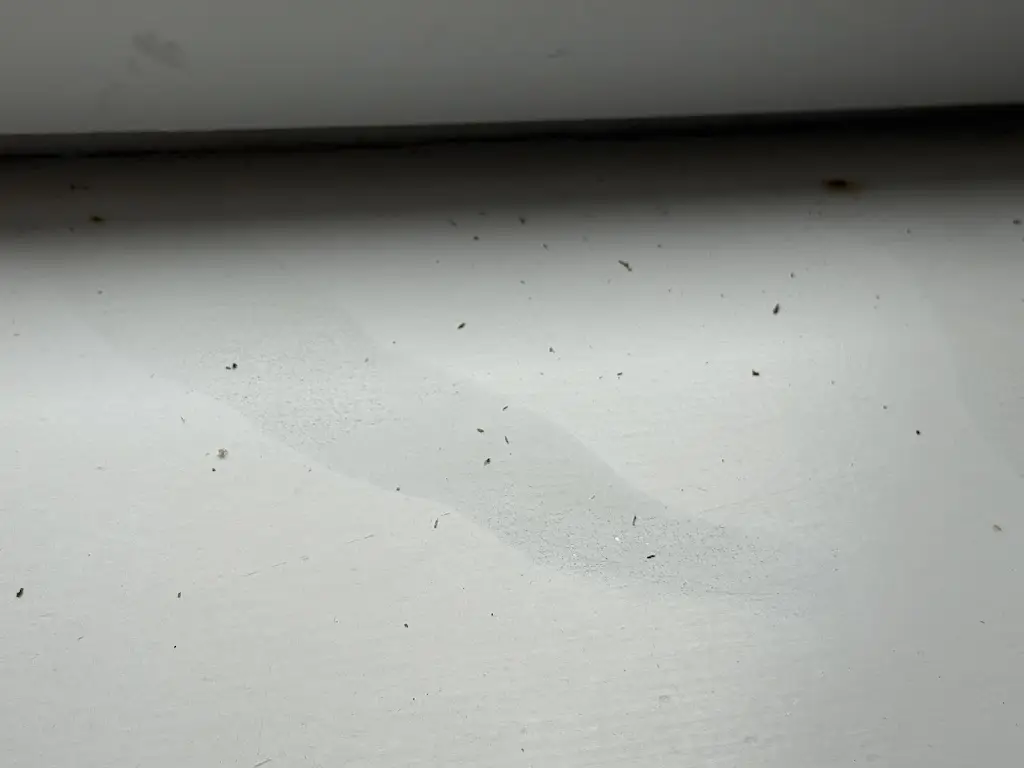 Charlotte Rigby Few_Manor House_Thurso_review