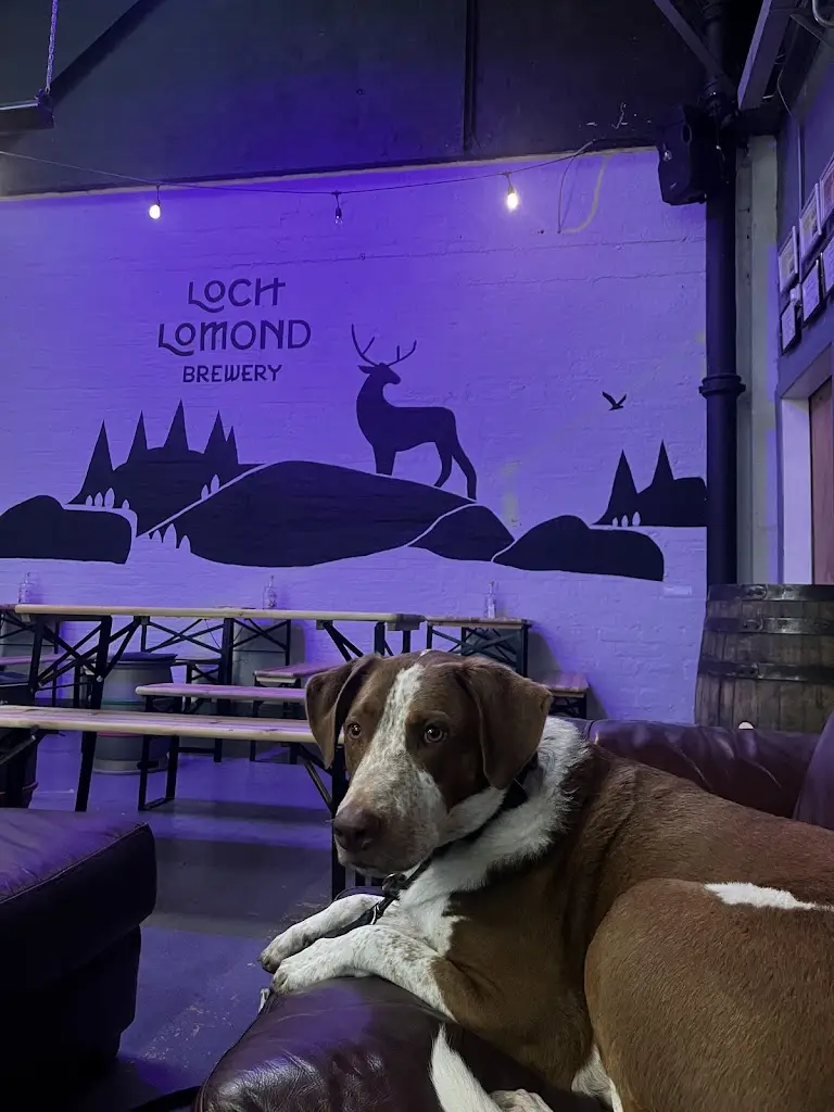 Lia Dekker_Loch Lomond Brewery Taproom_Vale of Leven_review