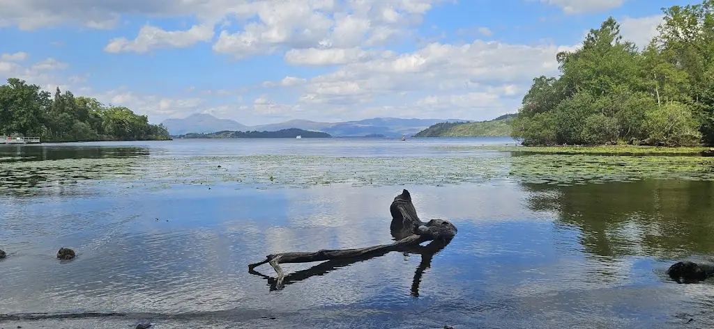 David O'Connor_La Vista_Vale of Leven_review