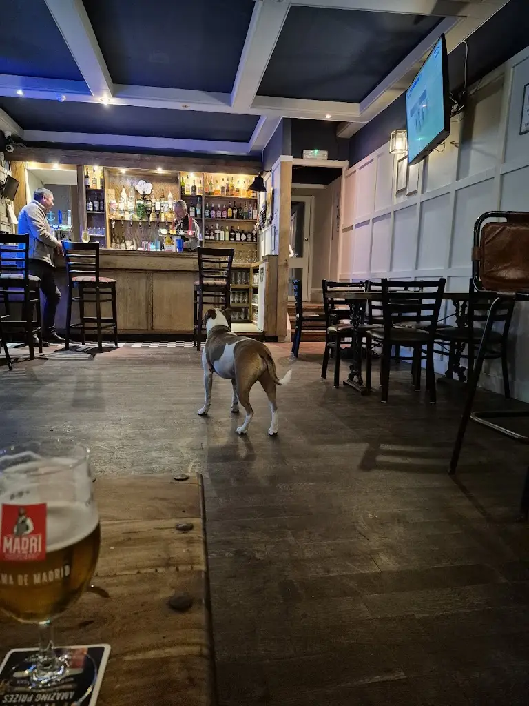 Haggis holburn_Fleece Kitchen & Bar Selkirk_Selkirk_review