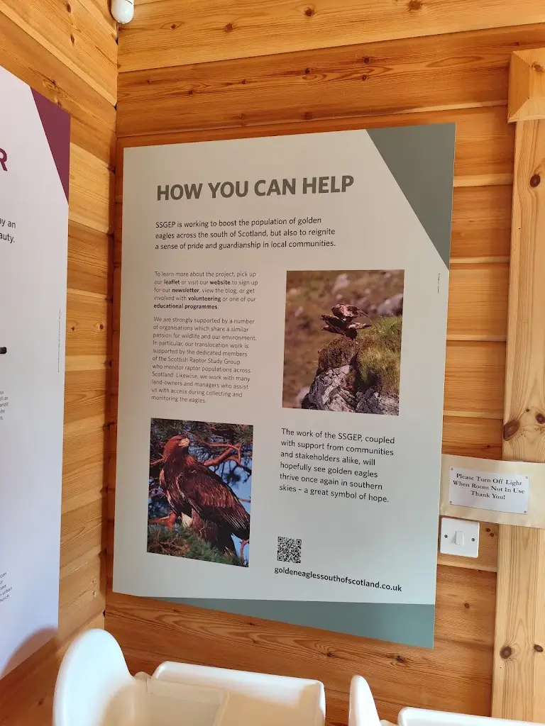 Lisa Brown_The Waterwheel_Selkirk_review