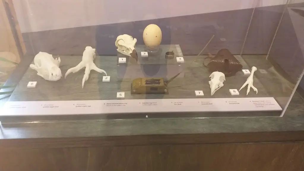 John Lancaster_The Waterwheel_Selkirk_review