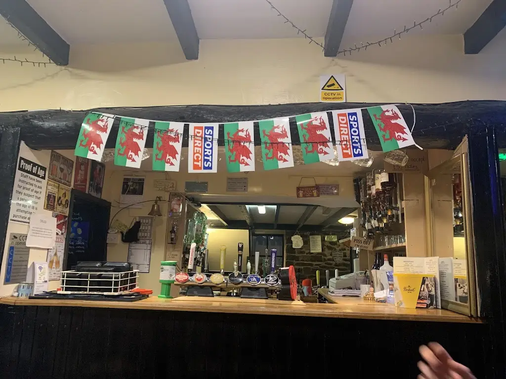 Daffy Duck_Prince of Wales_Aberaeron_review