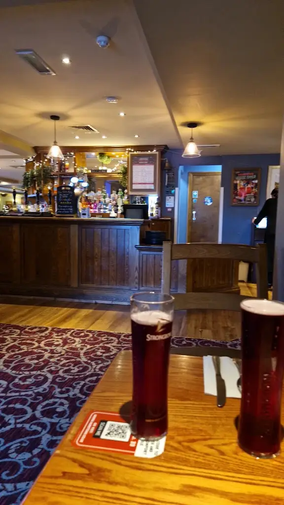 Red Kite_Abertridwr_slider_image_2