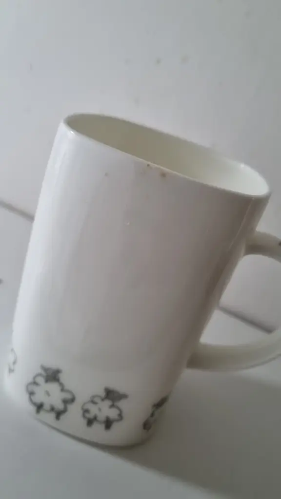 Ansh Gupta_The Tiger Inn | Hotel & Restaurant_Abercanaid_review