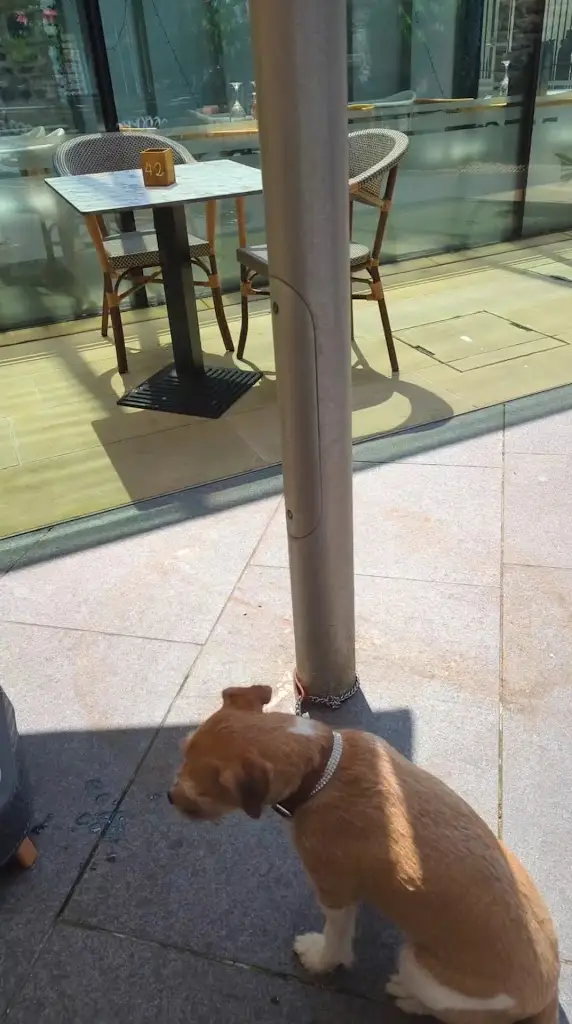 Stephen Lloyd-Cook_Poco Poco_Aberkenfig_review