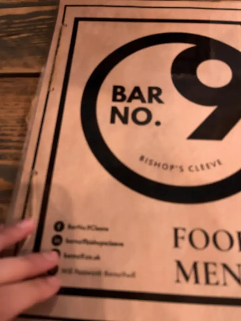 Dessi Veltcheva_Bar No.9_Bishops Cleeve_review