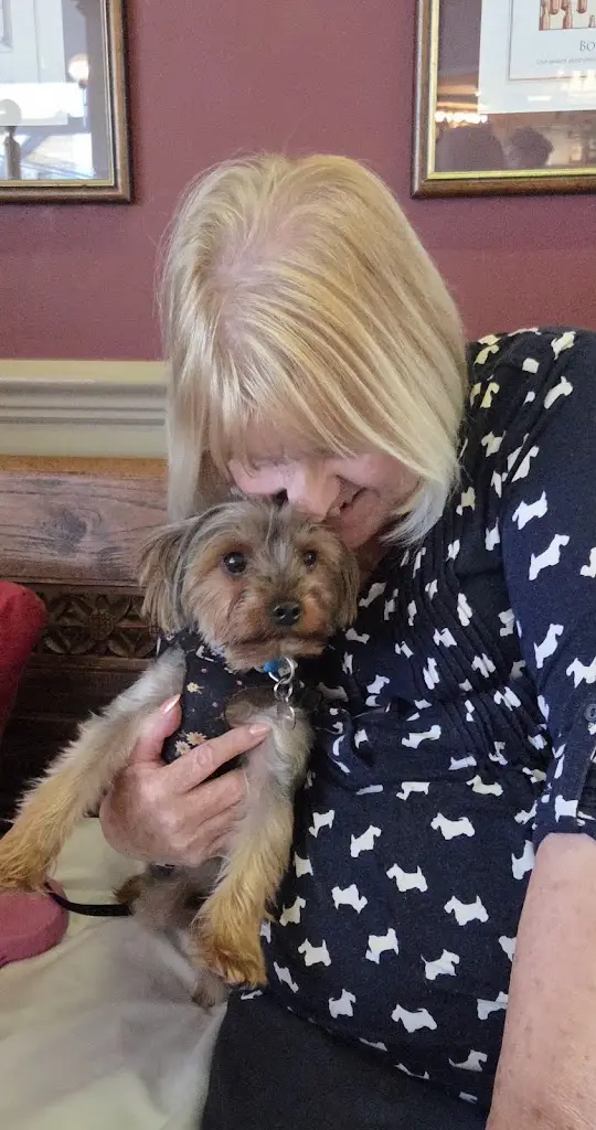 mark emery_The Trecastell_Amlwch_review